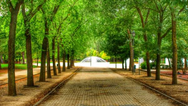 En el parque Pradolongo En el parque Pradolongo