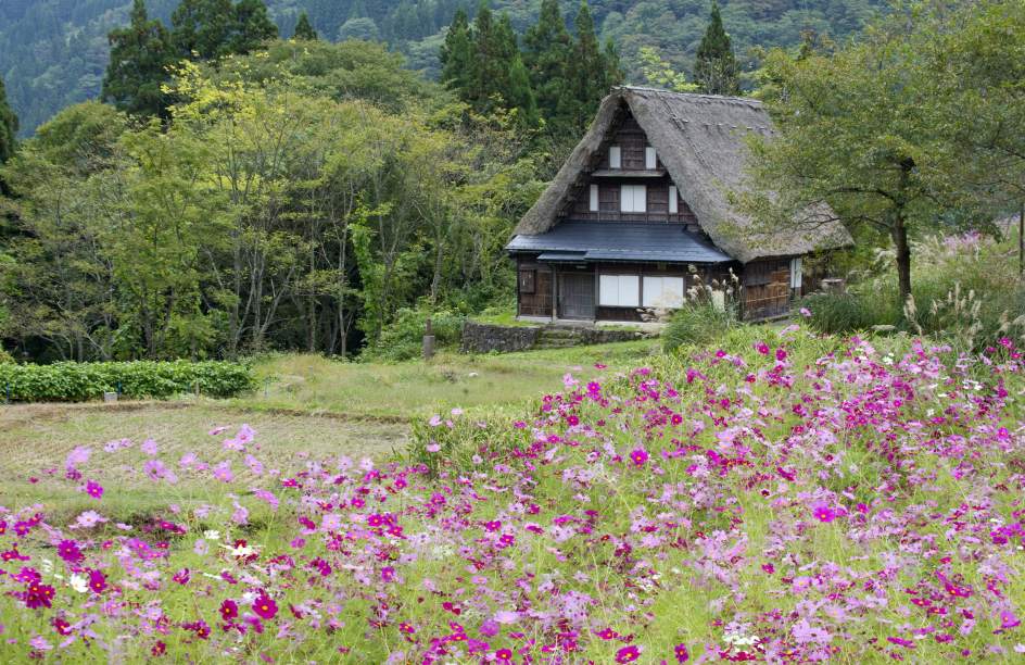 Elogio del equilibrio: una ruta por los 16 lugares Patrimonio de la Humanidad de Japón