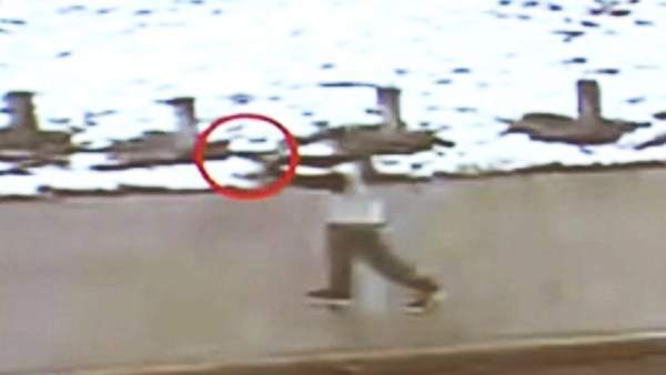 Niño tiroteado por llevar una pistola de aire comprimido Niño tiroteado por llevar una pistola de aire comprimido
