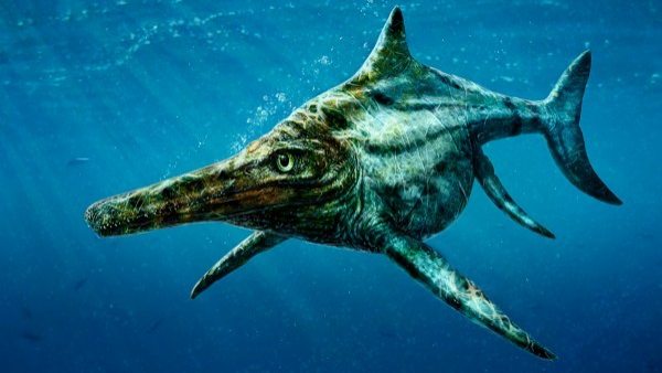 Dearcmhara Shawcrossi, nueva especie de reptil marino de la isla de Skye, Escocia Dearcmhara Shawcrossi, nueva especie de reptil marino de la isla de Skye, Escocia