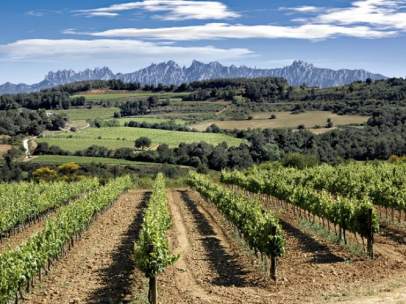 Vinos del Penedés