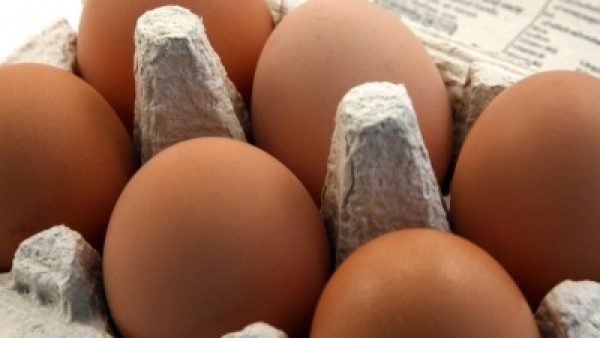 Huevos Huevos