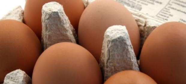 Huevos