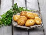 Patatas hay cientos, pero ¿cuáles son las mejores para freír?