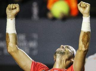 David Ferrer