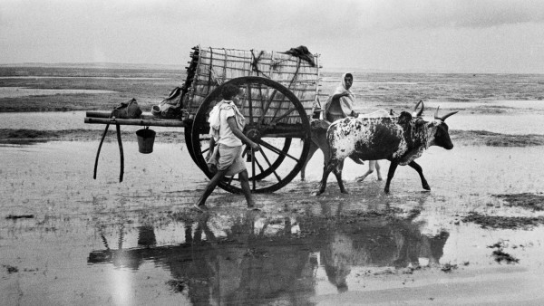 Between Konark and Puri, Orissa, India, 1956 Between Konark and Puri, Orissa, India, 1956