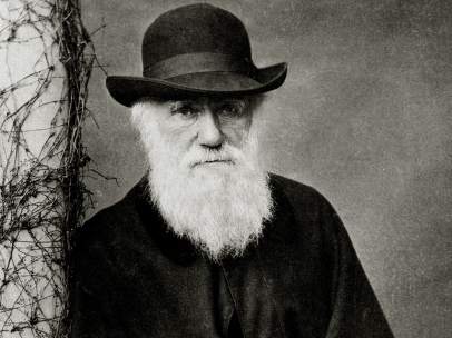 Darwin