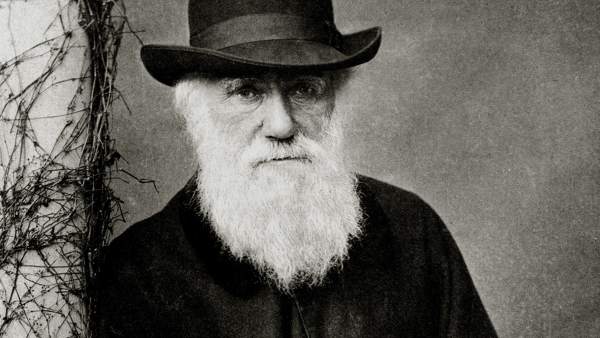 Darwin Darwin