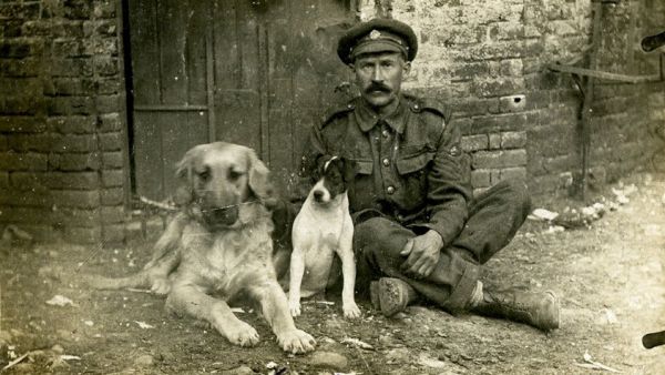 Staff Sergeant (Horse Farrier) of the Army Service Corps (ASC) with the Corps pet dogs, Hissy and Jack. France, August 1916 Staff Sergeant (Horse Farrier) of the Army Service Corps (ASC) with the Corps pet dogs, Hissy and Jack. France, August 1916