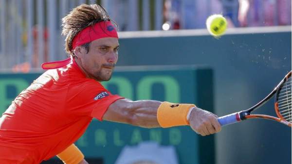 David Ferrer David Ferrer