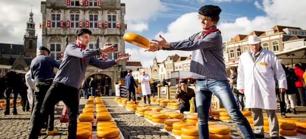 Temporada de quesos gouda