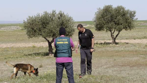 Guardia Civil Guardia Civil