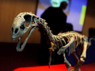 Chilesaurus diegosuarezi
