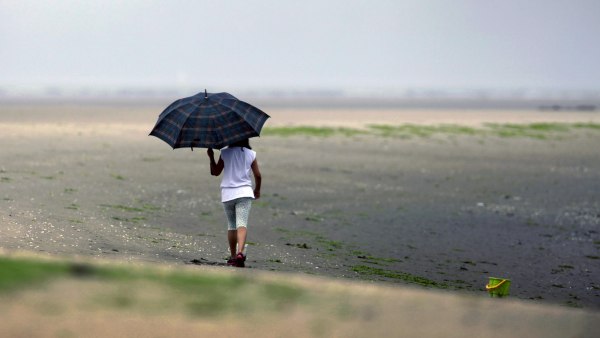 Lluvia Lluvia