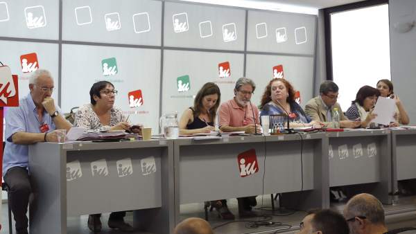 Consejo Político de IU Consejo Político de IU