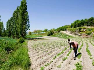 Agricultores