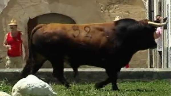 PACMA denuncia la muerte por un disparo del toro 'Guapetón' en los Sanjuanes de Coria (Cáceres) PACMA denuncia la muerte por un disparo del toro 'Guapetón' en los Sanjuanes de Coria (Cáceres)