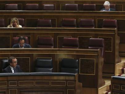 Pleno del Congreso