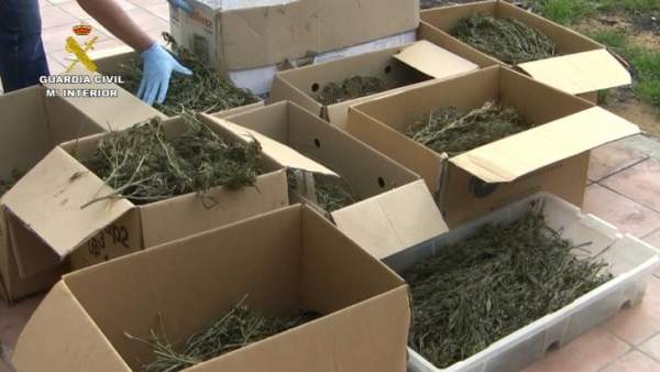 Droga incautada por la Guardia Civil. Droga incautada por la Guardia Civil.