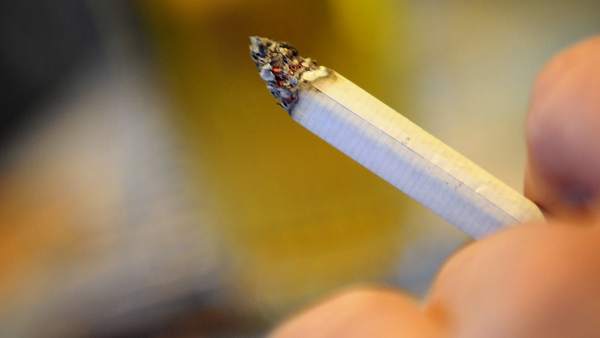 Tabaco Tabaco