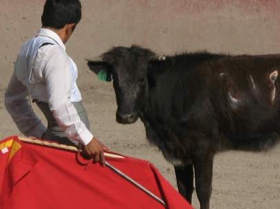 Escuela de tauromaquia