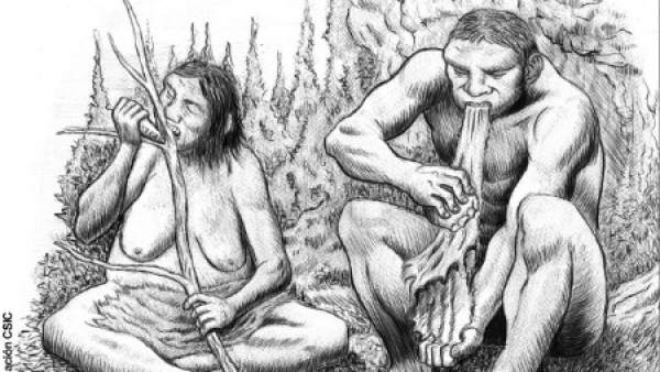 Neandertal Neandertal