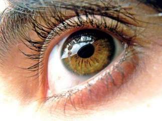 Ojos