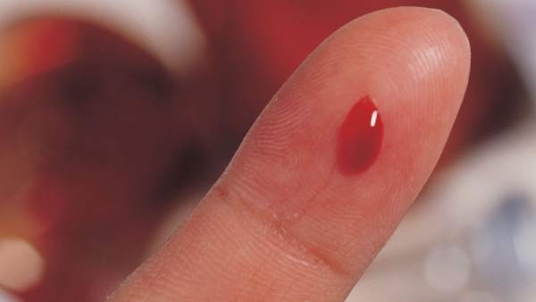 Sangre Sangre