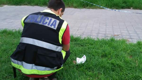 Hallan una granada en un jardín de Valencia Hallan una granada en un jardín de Valencia