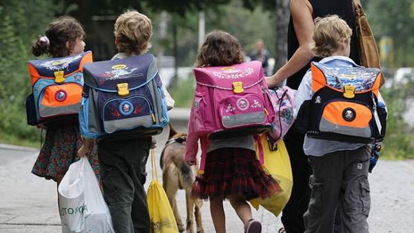 Niños Niños