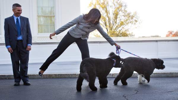Perros de Obama Perros de Obama