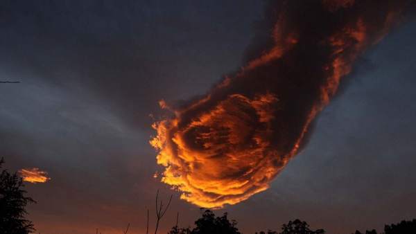 'La Mano de Dios' 'La Mano de Dios'