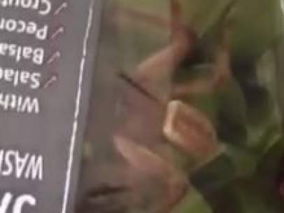 Una araña en la ensalada