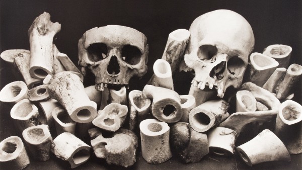 IRVING PENN - Bone Forest, New York, 1980
IRVING PENN - Bone Forest, New York, 1980