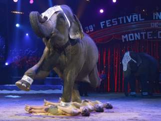 Circos con elefantes