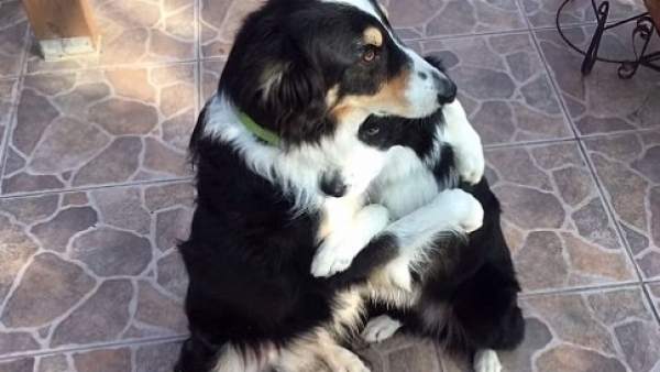 Dewey y Blaze Dewey y Blaze