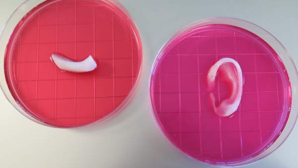 Tejido fabricado con una impresora 3D Tejido fabricado con una impresora 3D