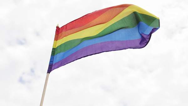 Parejas homosexuales Parejas homosexuales