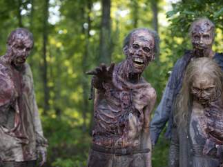 'The Walking Dead'