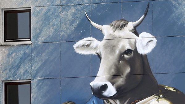Leche de vaca Leche de vaca