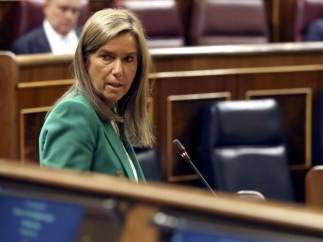 Ana Mato