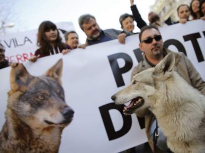 Manifestación por la protección del lobo ibérico