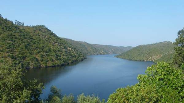 Río Tajo Río Tajo