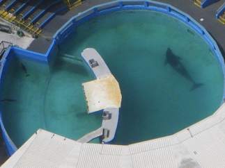Acuario de Miami