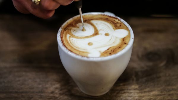 Un osito en mi café Un osito en mi café