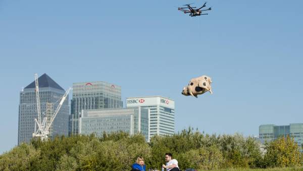 Drone Drone