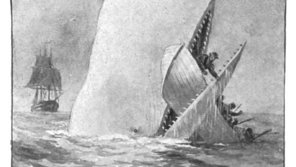 Moby Dick Moby Dick