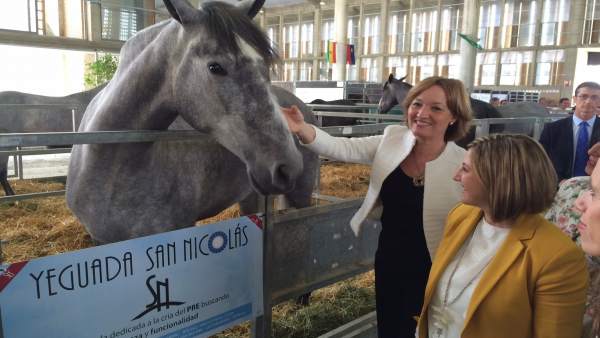 La consejera andaluza Carmen Ortiz asiste a la apertura de Equisur 2016 La consejera andaluza Carmen Ortiz asiste a la apertura de Equisur 2016