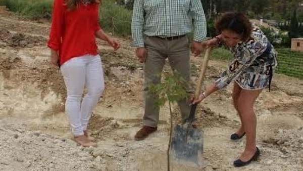 Pozuelo (dcha.) planta un árbol junto a García y Guijarro Pozuelo (dcha.) planta un árbol junto a García y Guijarro