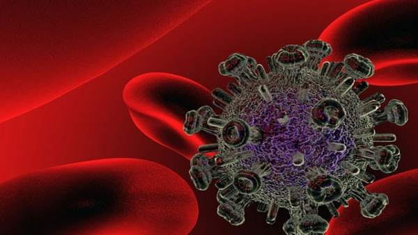Virus del VIH Virus del VIH